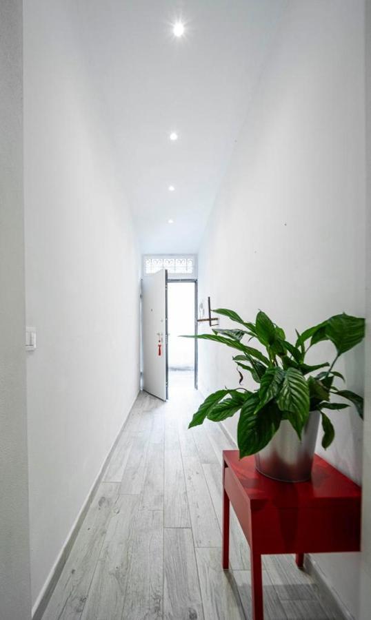 Puccinotti House Apartment Florence Exterior photo